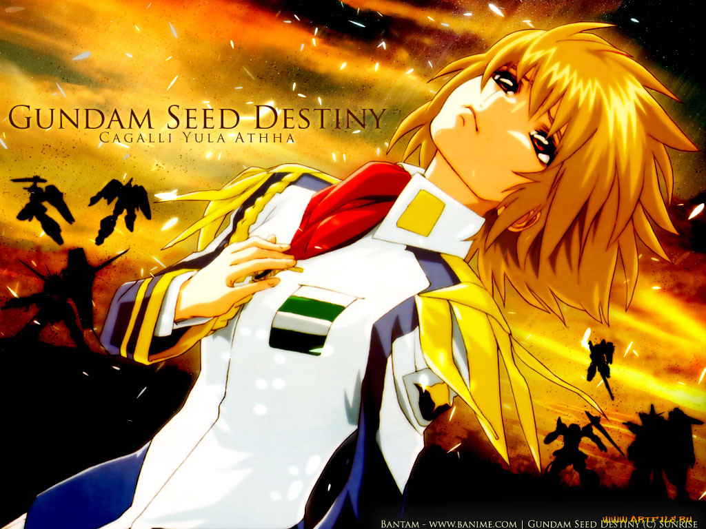 , gundam, seed